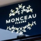 Pourquoi choisir la franchise