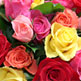 Les fleurs éclosent à Franchise Expo Paris