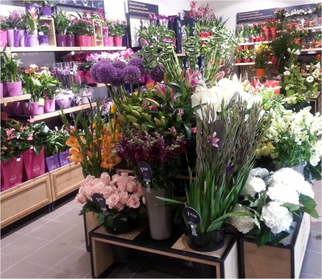 Fin d’année 2013 active pour les franchises Monceau Fleurs, Happy et Rapid’Flore