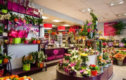 Un nouveau magasin Rapid’Flore ouvre ses portes à Saint Nazaire