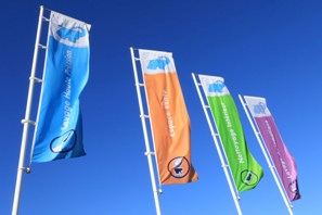Interview de Patrick Mary, de la franchise Eléphant Bleu, évolution de l'offre clients