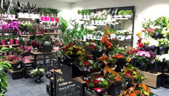 Monceau Fleurs ouvre une nouvelle unité à Grenoble