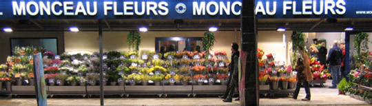 La franchise Monceau Fleurs ouvre ses portes à Langon