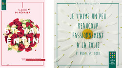 Nouvelles couleurs pour la communication de la franchise Le Jardin des Fleurs