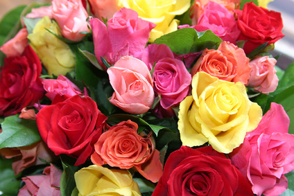 Le secteur des fleurs poursuit son éclosion en franchise