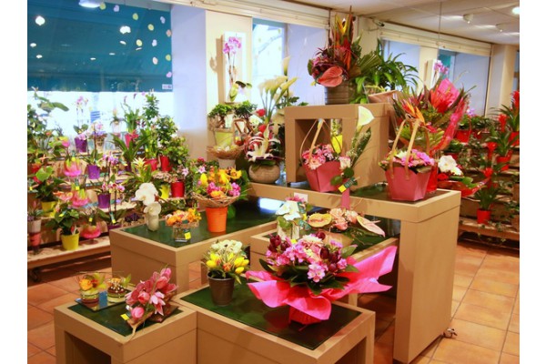 La franchise Le Jardin des Fleurs lance les dix jours fleuris