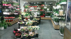 La franchise Monceau Fleurs ouvre un nouveau magasin à Caveirac, dans le Gard