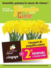 Carrément Fleurs a récolté 8 688 euros pour l'Institut Curie