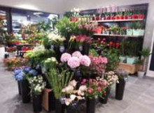 La franchise Monceau Fleurs a ouvert 16 nouveaux points de vente en 2016