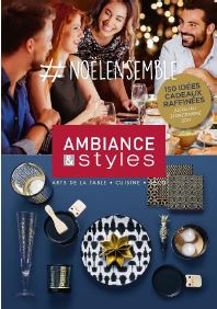 Un magasin de 340 m² sous enseigne Ambiance & Styles ouvre à Pau Lescar