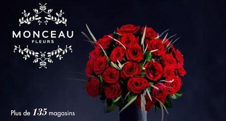 L’enseigne Monceau Fleurs présente sur les chaînes de télé françaises