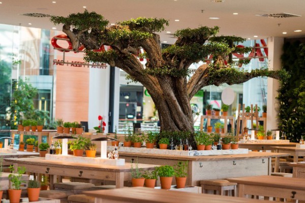 Vapiano s'installe au sein de Villages Nature Paris et embauche 60 CDI