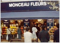 Monceau Fleurs au Japon