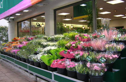 Le Jardin des Fleurs, Première enseigne de la fleur en notoriété et qualité¹, ouvre un second point de vente à Nevers
