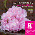 Le Bouquet Nantais lance son nouveau catalogue sur le thème de l’eau, la terre, le feu et l’air