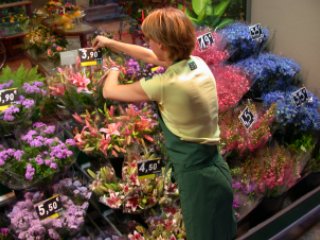 Un entretien avec Dominique Munier, comment se porte l’enseigne le Jardin des Fleurs ?