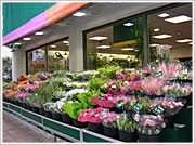 Le Jardin des Fleurs ouvre un nouveau magasin en région lyonnaise