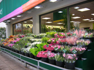 Le Jardin des Fleurs va ouvrir deux nouveaux points de vente le 29 novembre prochain.