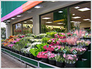 Un nouveau magasin Jardin des Fleurs éclot à Cognac