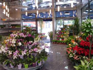 Le réseau Monceau Fleurs s’implante à Moulins sur Allier (03)