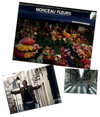 Monceau Fleurs sur le petit écran : Bilan d’un vif succès