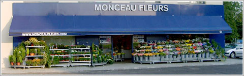 Un magasin Monceau Fleurs a ouvert ses portes le 8 septembre dernier à Thionville