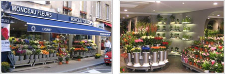 Monceau Fleurs à Fontainebleau