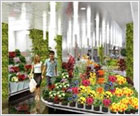 Deux magasins Monceau Fleurs ont adopté le nouveau concept architectural de l’Enseigne