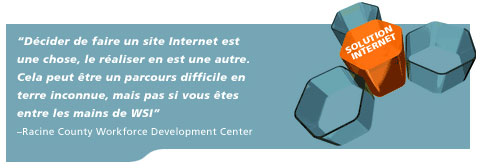 Les solutions internet de la franchise WSI