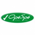 Franchise Agence Opé Spé