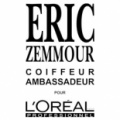 Franchise Eric Zemmour