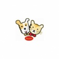 Franchise Husse
