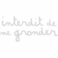 Franchise INTERDIT DE ME GRONDER