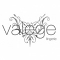 Franchise Valege