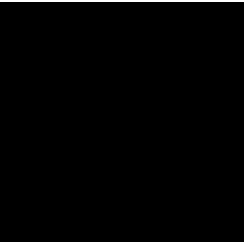 Franchise Interactive Systems Production