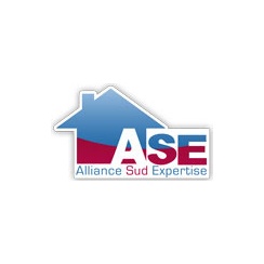 Franchise Alliance Sud Expertise (ASE)