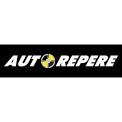 Franchise Autorepère