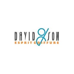 Franchise David & Son