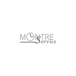 Franchise Montre Service