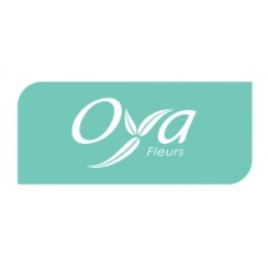 Franchise Oya